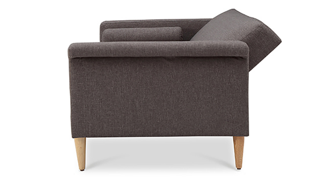 Dalton Sofa Cum Bed(Dark Grey)